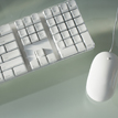 Keyboard and mouse