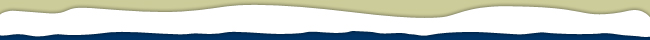 City of Mississauga