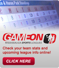 GAMEON - Check your team stats and upcoming league info online!
