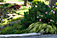 First Place Large