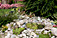 First Place Large
