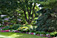 First Place Large