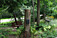 First Place Large