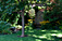 First Place Large