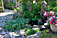 First Place Large