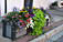 First Place Large
