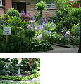 Third Place Small