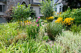Second Place Large
