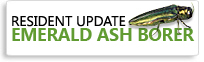 Emerald Ash Borer