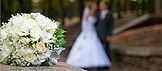 Photography in Parks