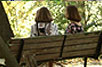 Commemorative Tree or Park Bench Program