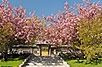 Kariya Park